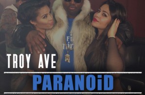 Troy Ave – Paranoid (Keymix)