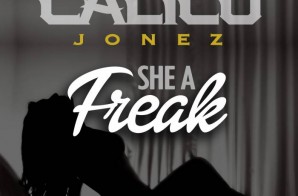 Calico Jonez – She A Freak