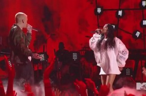 Eminem & Rihanna – The Monster (Live At 2014 MTV Movie Awards) (Video)
