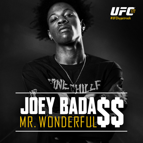 VaGmdxS Joey Badass - Mr. Wonderful  