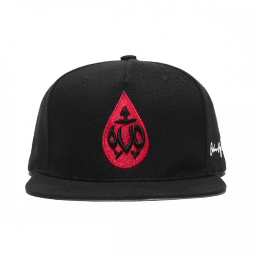 Drake_WYLAT_Snapback-500x500 Drake Releases "Would You Like A Tour?" Collection  