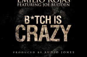 Emilio Rojas – Bitch Is Crazy Ft. Joe Budden