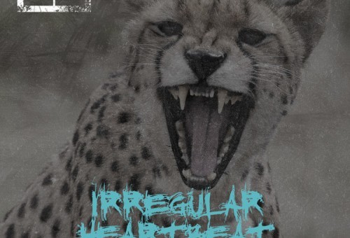 50 Cent – Irregular Heartbeat Ft. Jadakiss & Kidd Kidd