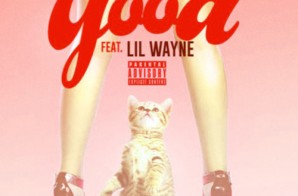 Rocko & Lil Wayne – Good