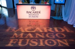 Bacardi Fusion Lounge Event at the Skybox Event Center (Philly) (Photos)