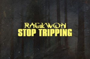 Raekwon – Stop Tripping