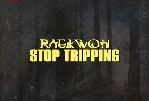 Raekwon – Stop Tripping