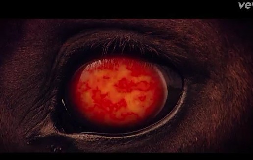 50 Cent – Animal Ambition (Video)