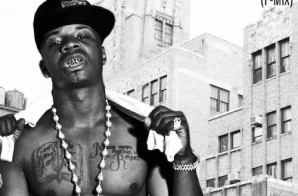 Plies – We Dem Boyz (Remix)