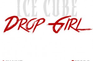 Ice Cube x 2 Chainz x Redfoo – Drop Girl