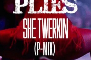 Plies – She Twerkin (Remix)
