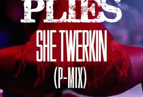 Plies – She Twerkin (Remix)