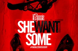 Lil Boosie – She Want Some
