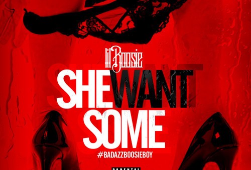 Lil Boosie – She Want Some