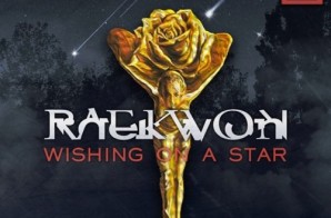 Raekwon – Wishing On A Star