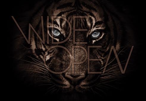AD – Wide Open Ft. Paul Wall (Prod. By Showtyme)