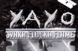 Waka Flocka – Yaya (Flockmix)