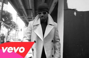 Ray J – Never Shoulda Did That (Video)