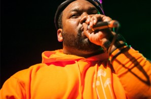 Raekwon Joined By AZ, Bobby Shmurda, & More At Brooklyn Hip Hop Fest (Video)