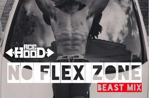 Ace Hood – No Flex Zone (Beast Mix)