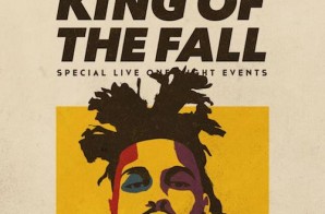 The Weeknd – King Of The Fall