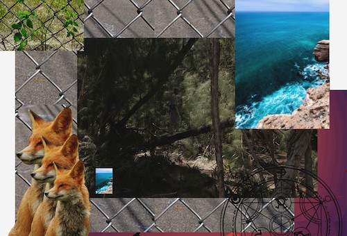Sir Michael Rocks – Banco LP (Album Stream)