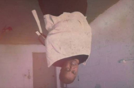 Twista – Dark Horse Ft. Tyme (Official Video)