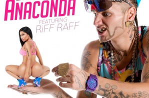 Riff Raff – Anaconda (LA Leakers Remix)