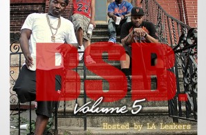 Troy Ave & BSB – BSB Vol. 5 (Mixtape) (Hosted By LA Leakers)