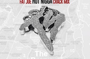 Fat Joe – Hot Nigga (Remix)