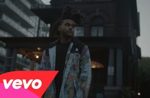The Weeknd – King Of The Fall (Video)