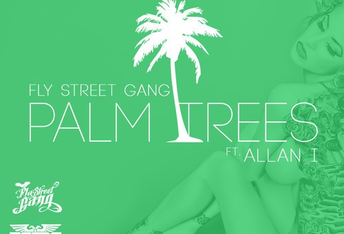Fly Street Gang x Allan I – Palm Trees (Prod. by Dreemteam)