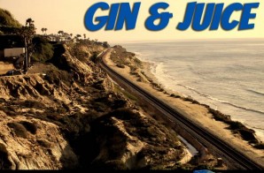 Wi.Sh – Gin & Juice (Official Video)