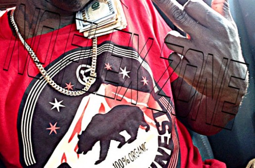 Pusha Feek – No Flex Zone Freestyle