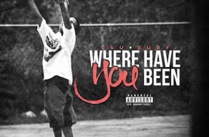 Tsu Surf – Where Have You Been