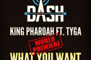 Pharaoh Jackson – What You Want ft. Tyga