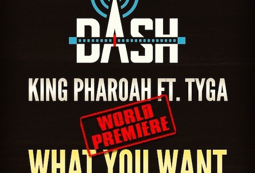 Pharaoh Jackson – What You Want ft. Tyga
