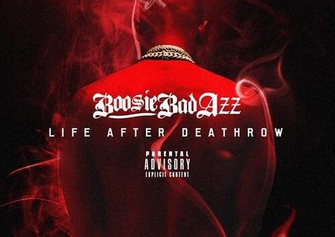 Lil Boosie – All Falls Down
