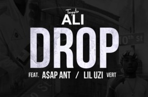 Tayyib Ali – Drop Ft. A$AP Ant & Lil Uzi Vert (Remix)