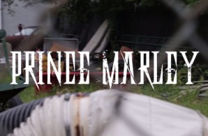 Prince Marley – Genie (Video)