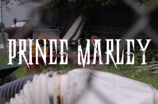 Prince Marley – Genie (Video)