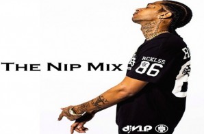 DJ V.I.P. Presents: The Nip Mix