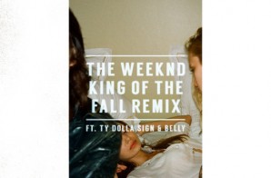 The Weeknd – King Of The Fall Ft. Ty Dolla $ign & Belly (Remix)