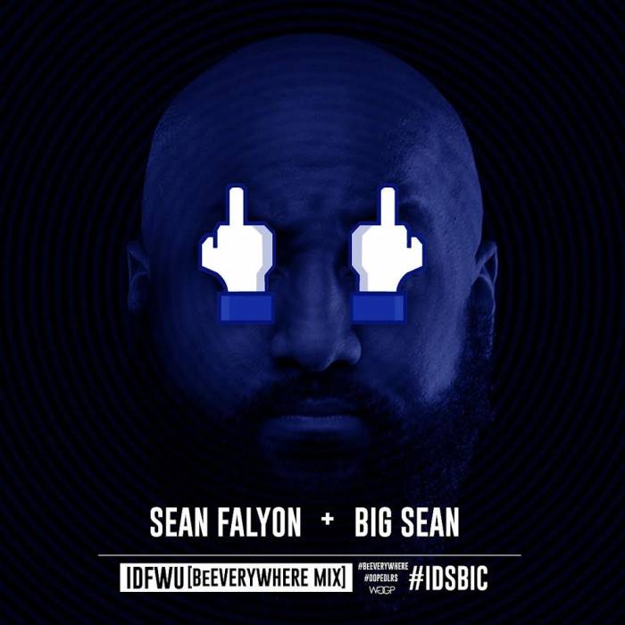 unnamed-210 Sean Falyon - IDFWU (BeEverywhere Mix)  