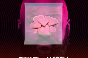 Sean Falyon x LL Cool J – Pink Cookies (BeEverywhere Mix)