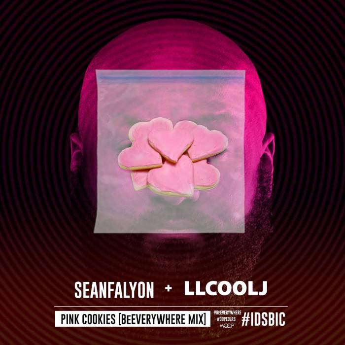 unnamed-64 Sean Falyon x LL Cool J - Pink Cookies (BeEverywhere Mix) 