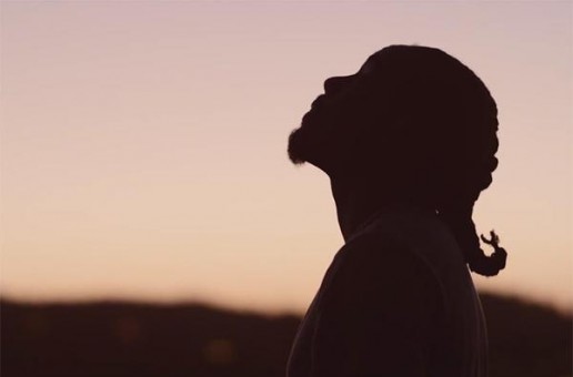 Wale – The Followers (Video)