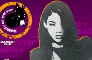Charlamagne Tha God Issues Donkey Of The Day To Lifetime’s Aaliyah Movie