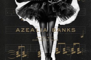 Azealia Banks – Broke With Expensive Taste (Album Stream)
