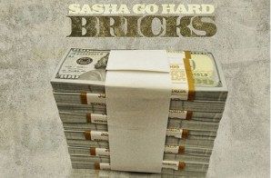Sasha Go Hard – Bricks